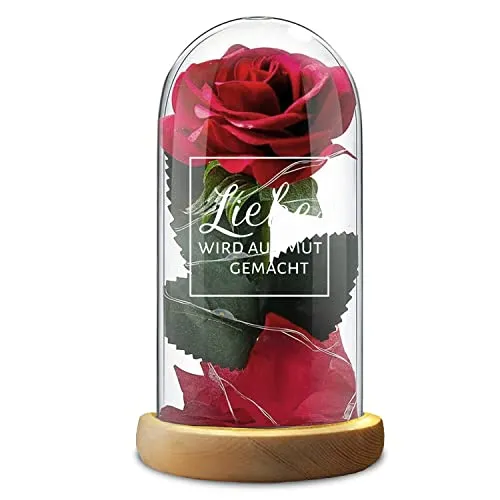 Rote Rose Glasdom Valentinstag Liebe wird aus Mut gemacht
